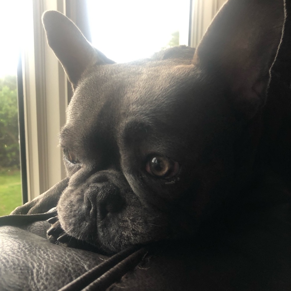 Meet your Posher, Ruth